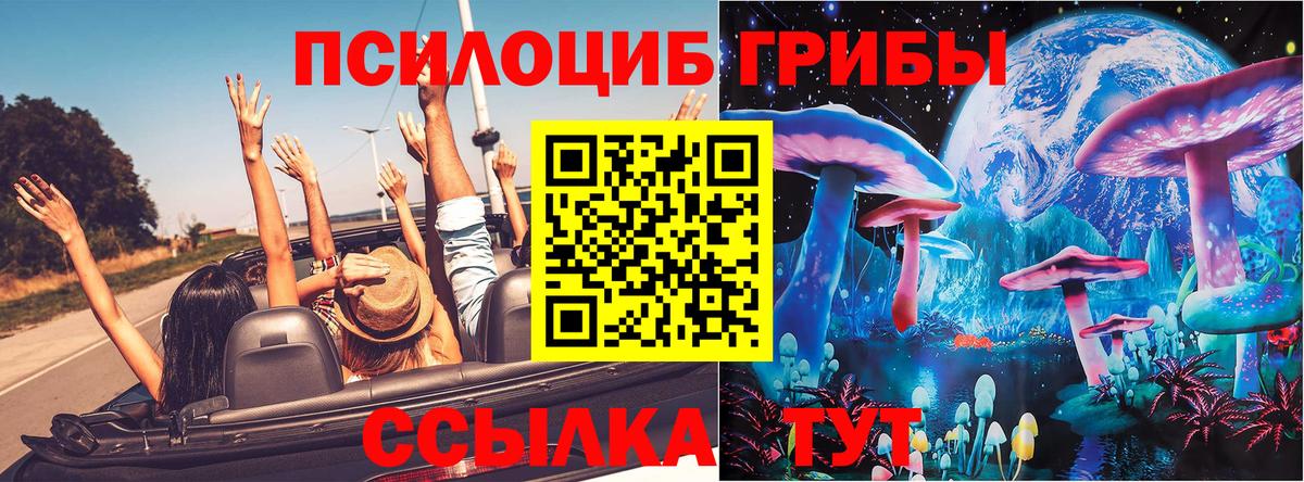 Кольчугино  Псилоцибиновые грибы мухоморы  Вход с VPN 