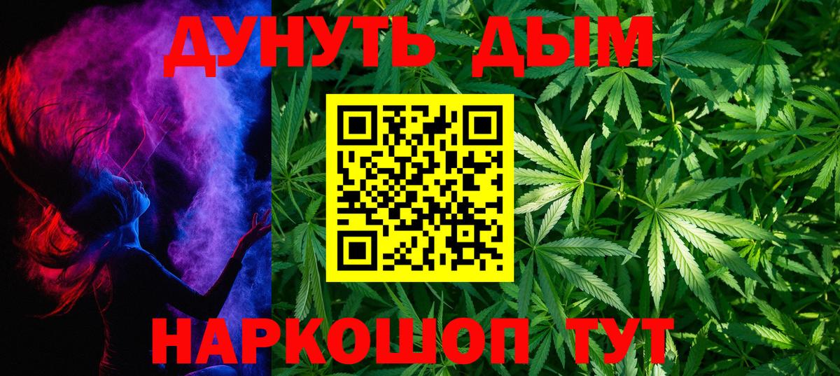 Конопля сатива Кольчугино